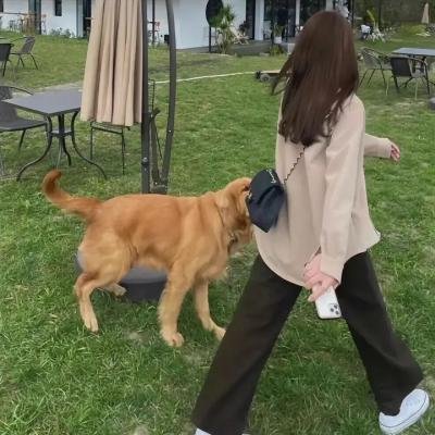女同性恋吸血鬼
