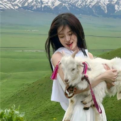 近蛛者杀